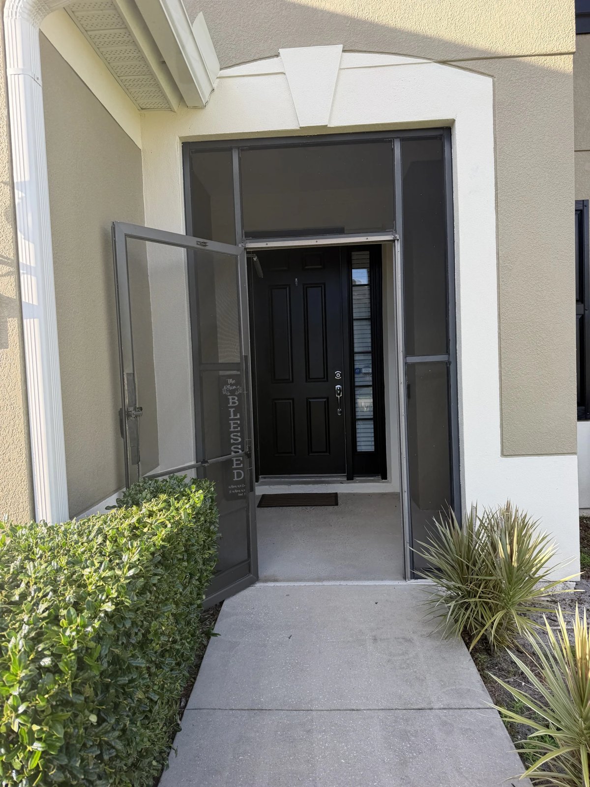 Before: Front Entry Screen Door & Rescreen